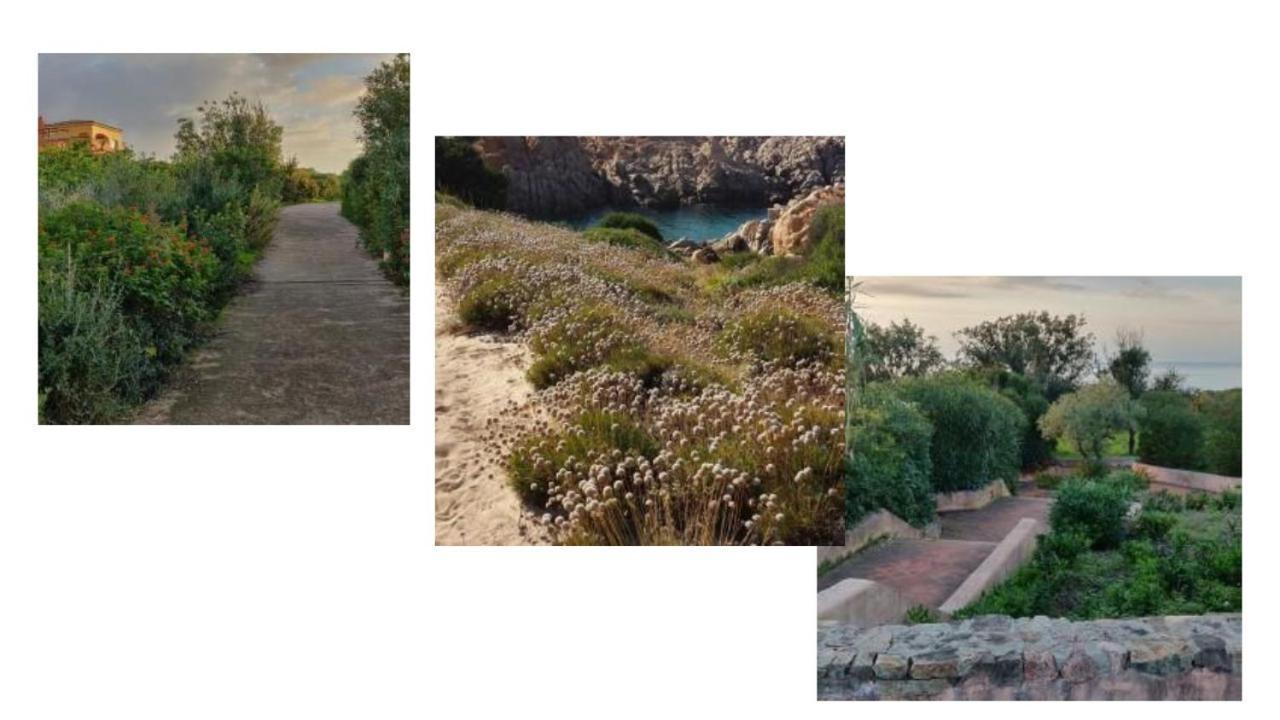 Vacanze In Natura Incontaminata "Casa Vacanza Francesca" Isola Rossa Bagian luar foto