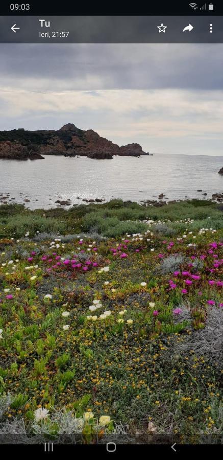 Vacanze In Natura Incontaminata "Casa Vacanza Francesca" Isola Rossa Bagian luar foto