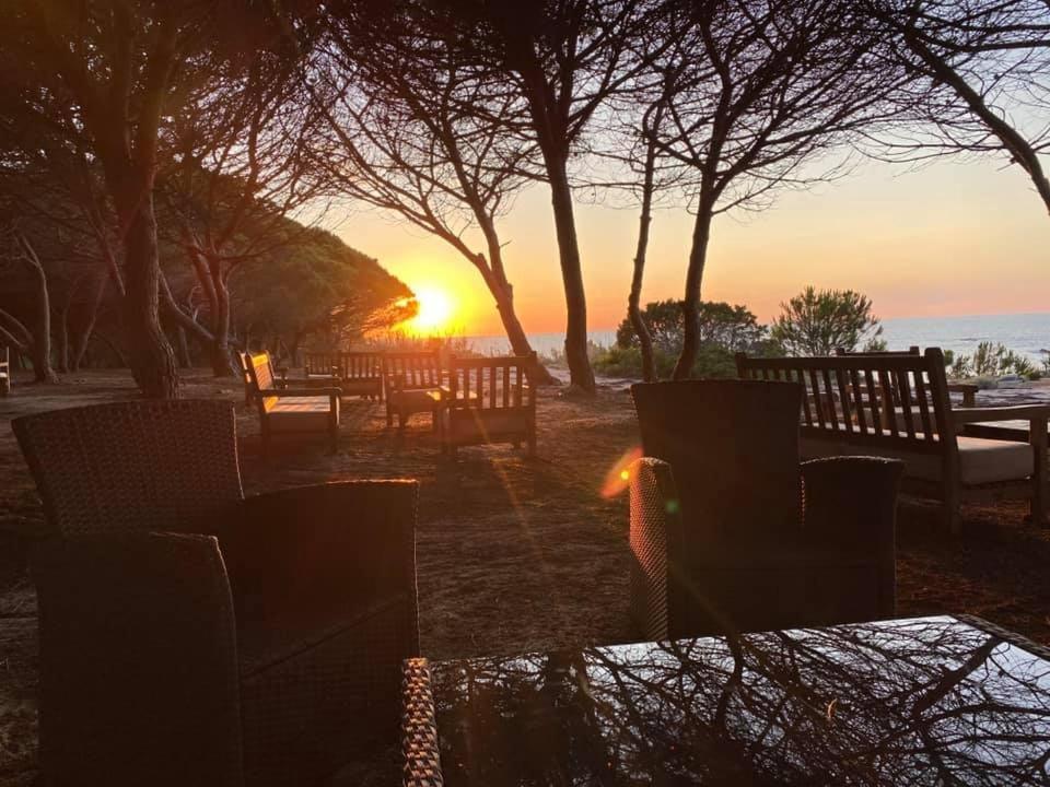 Vacanze In Natura Incontaminata "Casa Vacanza Francesca" Isola Rossa Bagian luar foto